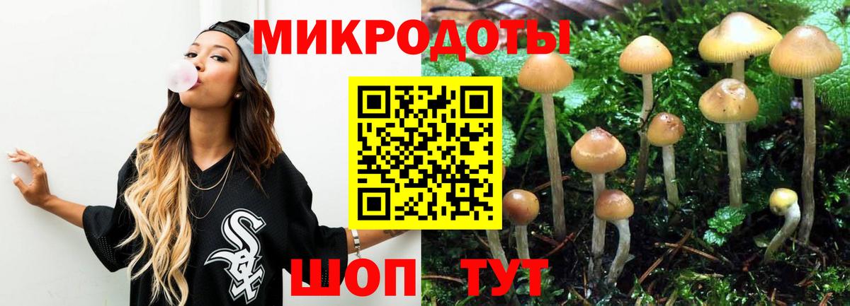 Нижнекамск  Псилоцибиновые грибы GOLDEN TEACHER  Вход с VPN  Галлюциногенные грибы Psilocybine cubensis 