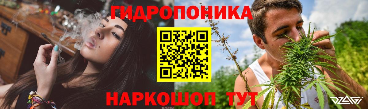 Бошки марихуана семена  Марихуана OG Kush  Нижнекамск  Вход с VPN  Бошки марихуана семена  Бошки марихуана гибрид 